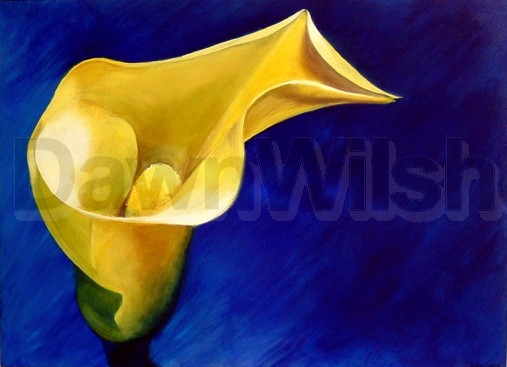 Yellow Lily